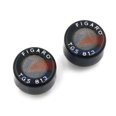 TGS813 Halbleiter-Gassensor für die Haushaltsgasleckerkennung Tragbare Gasdetektion