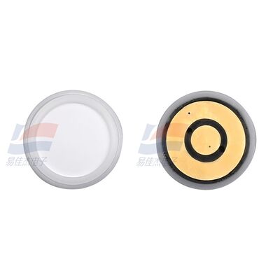 ASR-11-21 Advanced Galvanic - Typ Galvanic Oxygen Sensor für die Überwachung industrieller Prozesse