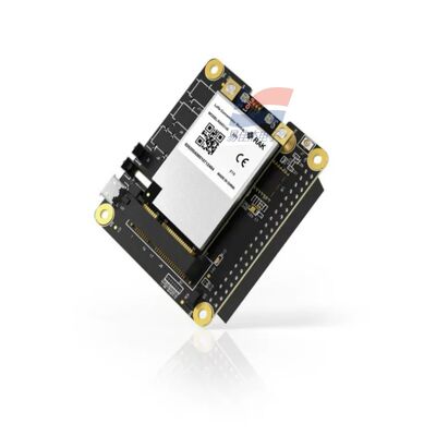 YJJ RAK5146 PiHAT Konzentratormodul geeignet für LoRaWAN zur Datenerfassung